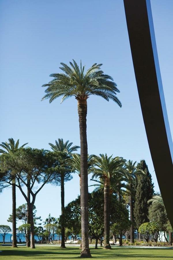 Le Prefecture - Luxueux F3 En Duplex, Ascenseur, Coeur Vieux-Nice Lejlighed Eksteriør billede